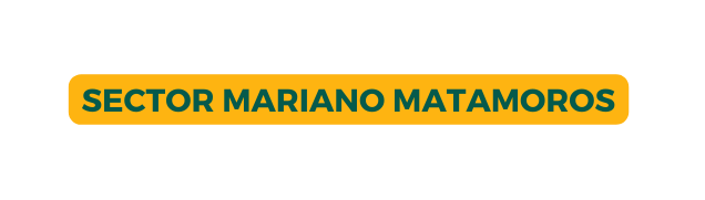 SECTOR MARIANO MATAMOROS